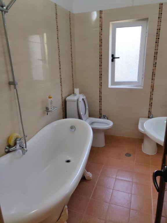 Apartament Alliaj *
